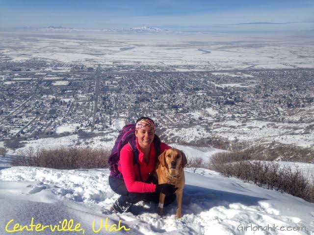 Parrish Canyon Trail, Parrish Creek Trail, Hiking in Utah with Dogs