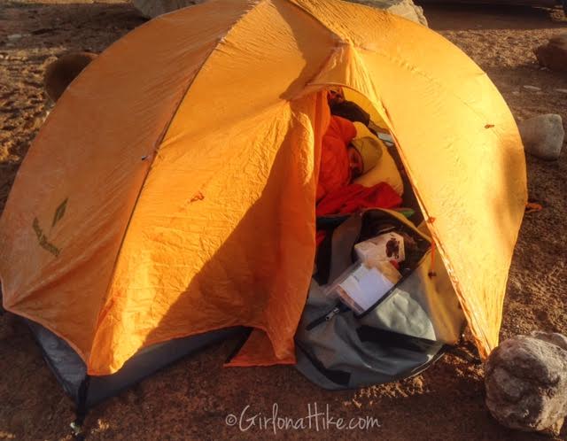 Sand Flats Recreation Area, Camping with dogs in Moab