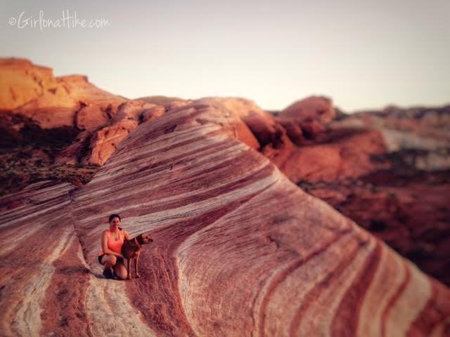 Valley of Fire State Park, Nevada State Parks, The Fire Wave