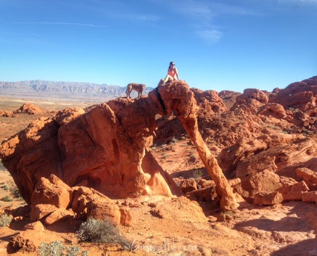 Valley of Fire State Park, Nevada State Parks, Elephant Rock