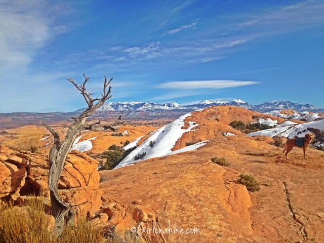 Slickrock Trail Guide, Slickrock Trail Maps, Slickrock Moab, Sand Flats Recreation Area, Hiking in Utah with Dogs