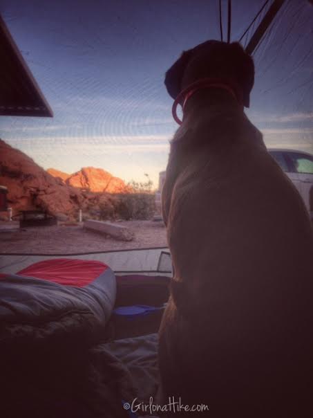 Camping at Valley of Fire State Park, Nevada State Parks