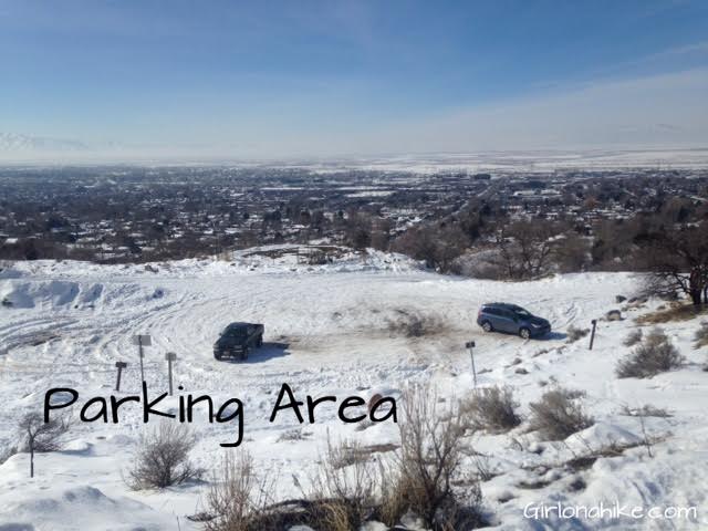 Parrish Canyon Trail, Parrish Creek Trail, Hiking in Utah with Dogs