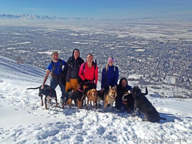 Parrish Canyon Trail, Parrish Creek Trail, Hiking in Utah with Dogs