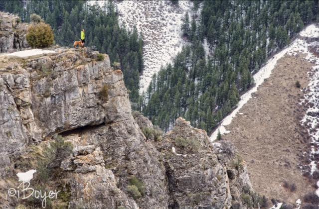 Wind Caves Trail, Logan, Utah, Hiking in Logan Canyon, Hiking in Utah with dogs