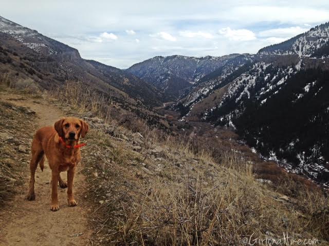 Wind Caves Trail, Logan, Utah, Hiking in Logan Canyon, Hiking in Utah with dogs