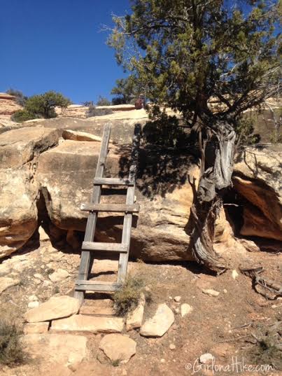 Natural Bridges National Monument, Utah. Loop Trail Natural Bridges