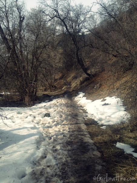 Wind Caves Trail, Logan, Utah, Hiking in Logan Canyon, Hiking in Utah with dogs