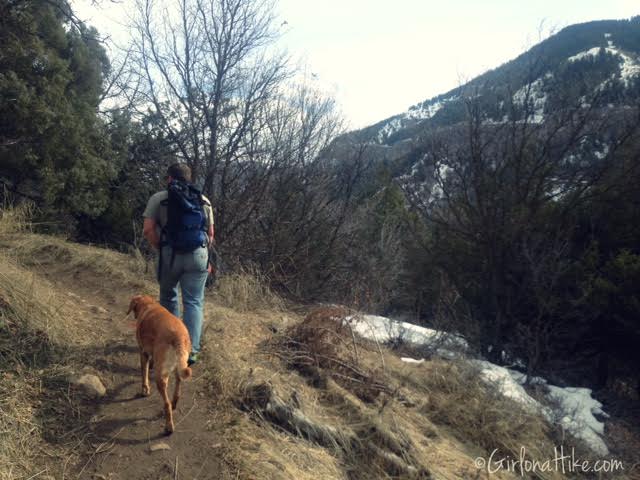 Wind Caves Trail, Logan, Utah, Hiking in Logan Canyon, Hiking in Utah with dogs