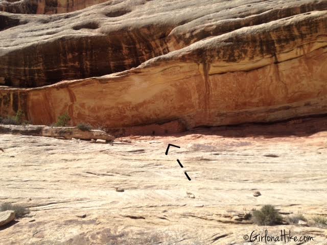 Natural Bridges National Monument, Utah. Loop Trail Natural Bridges