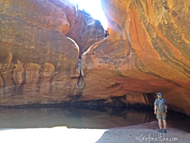 Natural Bridges National Monument, Utah. Loop Trail Natural Bridges