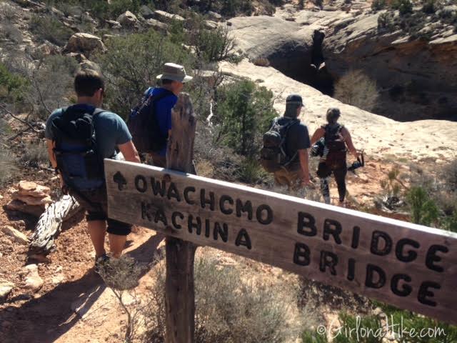 Natural Bridges National Monument, Utah. Loop Trail Natural Bridges