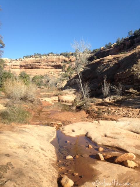 Mule Canyon and House on Fire ruins, Utah cliff dwellings, Bears Ears National Monument