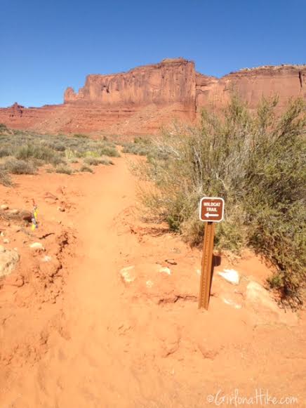 Monument Valley, Utah, Arizona, Monument Valley Wildcat Trail