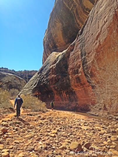 Natural Bridges National Monument, Utah. Loop Trail Natural Bridges