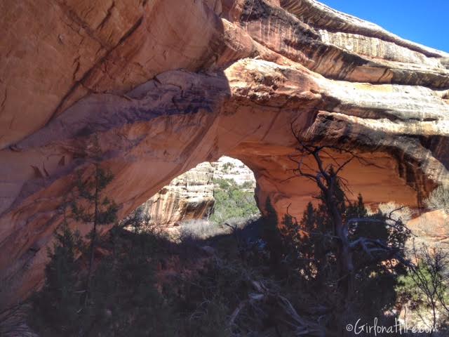 Natural Bridges National Monument, Utah. Loop Trail Natural Bridges, Kachina Bridge