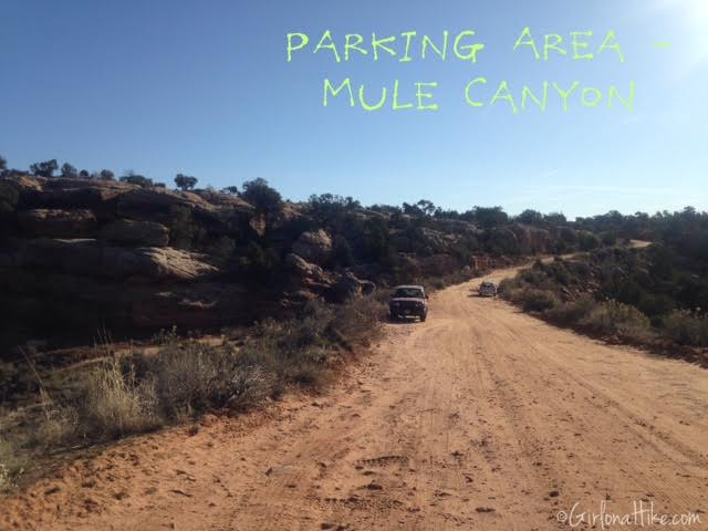 Mule Canyon and House on Fire ruins, Utah cliff dwellings, Bears Ears National Monument