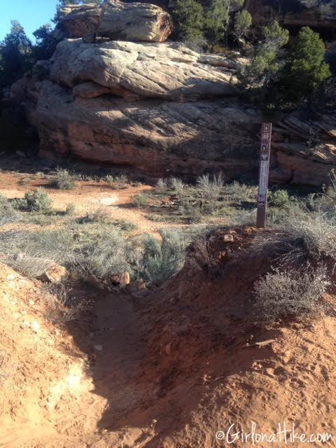 Mule Canyon and House on Fire ruins, Utah cliff dwellings, Bears Ears National Monument