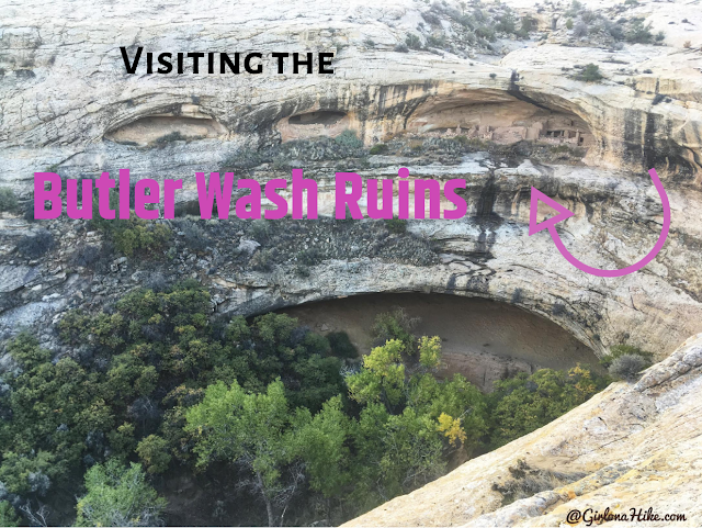 Butler Wash Ruins, Cedar Mesa