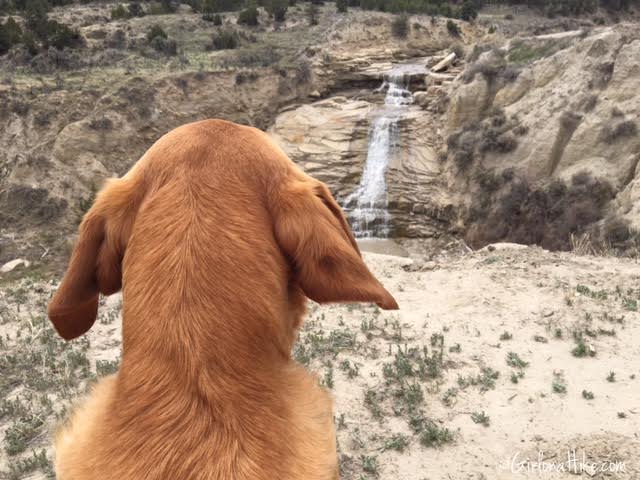 Gordon Creek Waterfalls, Utah, Hiking in Utah with Dogs