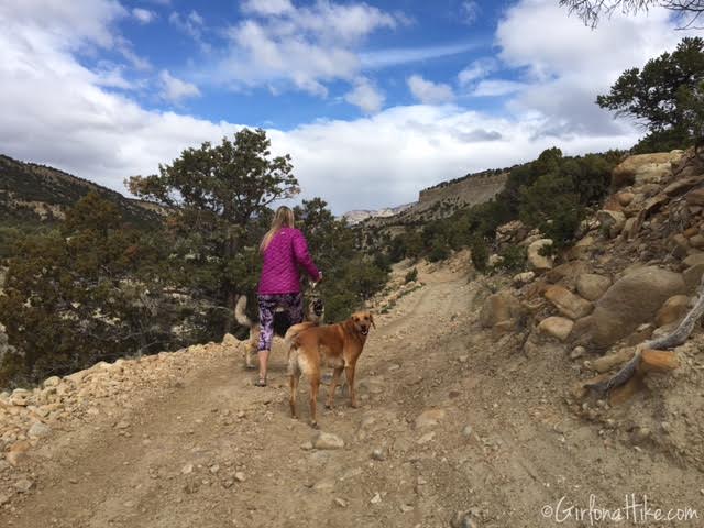 Gordon Creek Waterfalls, Utah, Hiking in Utah with Dogs