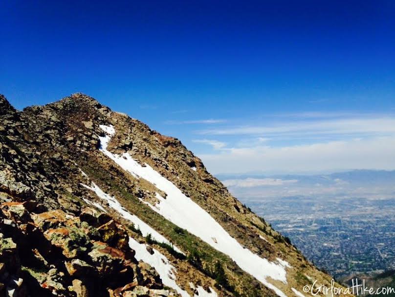 Twin Peaks via Robinson's Variation, Broad's Fork trail, Utah