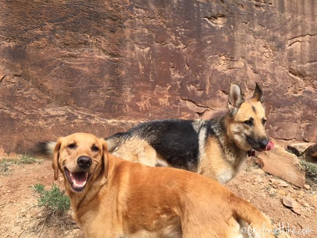 Nine Mile Canyon, Utah trail guide