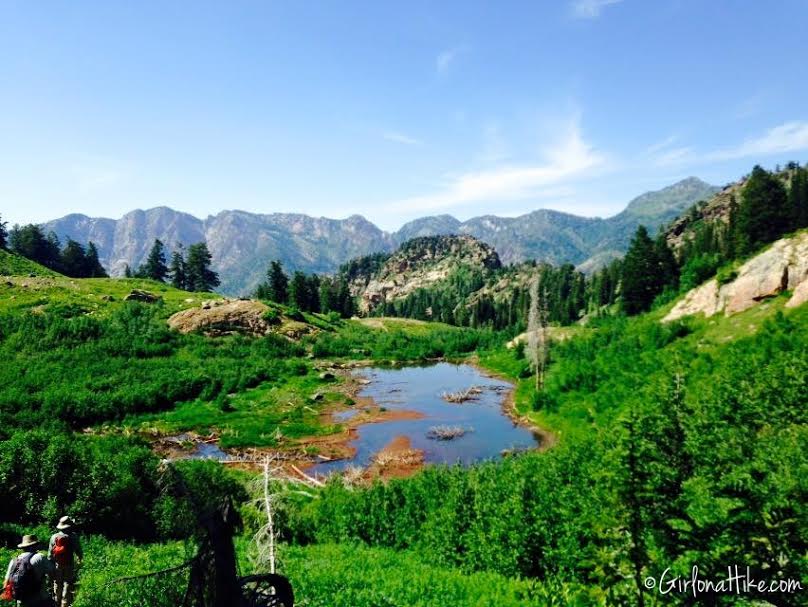 Twin Peaks via Robinson's Variation, Broad's Fork trail, Utah