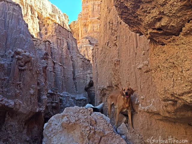 Hiking and Camping at Cathedral Gorge State Park, Juniper Draw Trail Guide