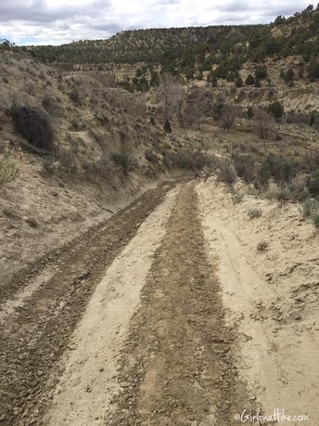 Gordon Creek Waterfalls, Utah, Hiking in Utah with Dogs