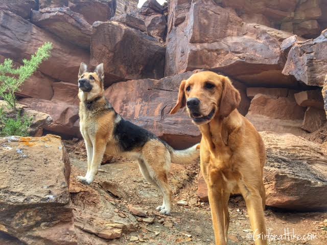 Nine Mile Canyon, Utah trail guide