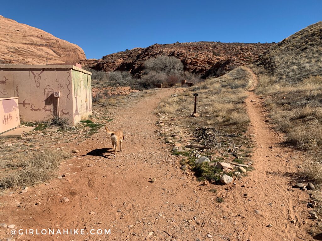 Hiking the North Fork of Mill Creek, Moab