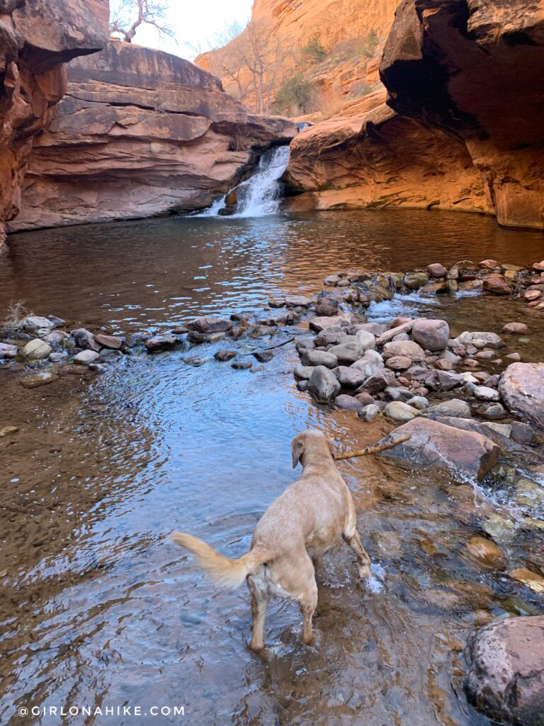 Hiking the North Fork of Mill Creek, Moab
