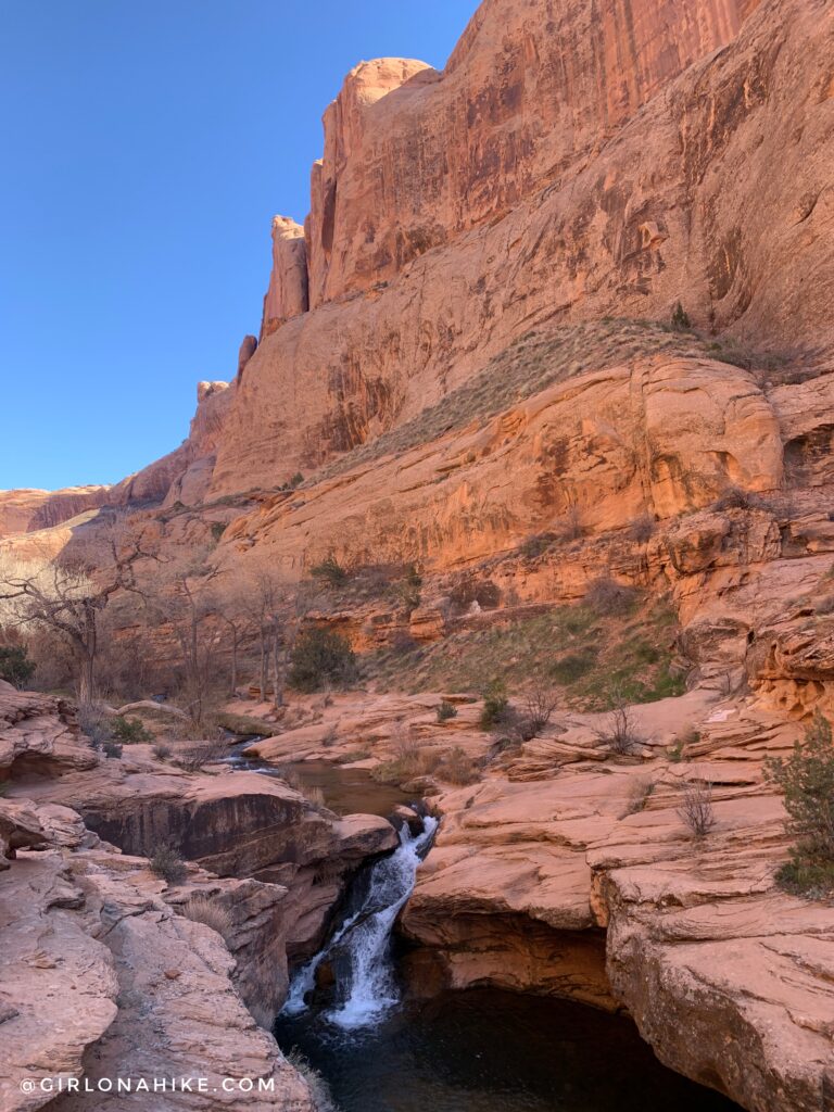 Hiking the North Fork of Mill Creek, Moab