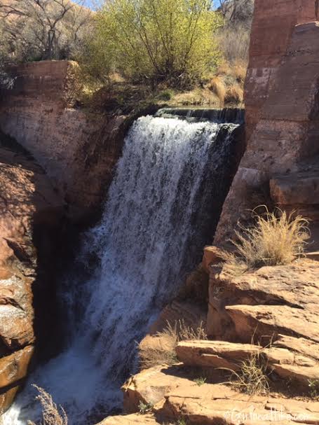 Left Fork of Mill Creek, Moab, Hiking in Moab with Dogs