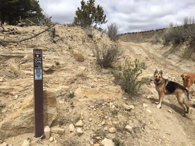 Gordon Creek Waterfalls, Utah, Hiking in Utah with Dogs