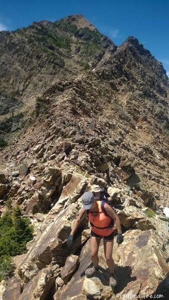 Twin Peaks via Robinson's Variation, Broad's Fork trail, Utah