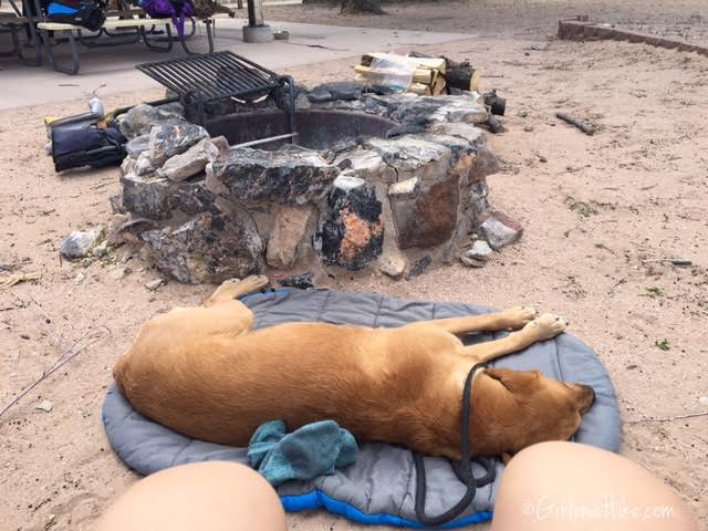 Hiking and Camping at Cathedral Gorge State Park, Eagle Point Overlook