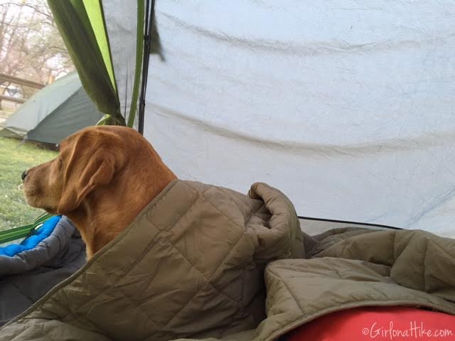 Hiking and Camping at Cathedral Gorge State Park, Dutch Oven Lasagna