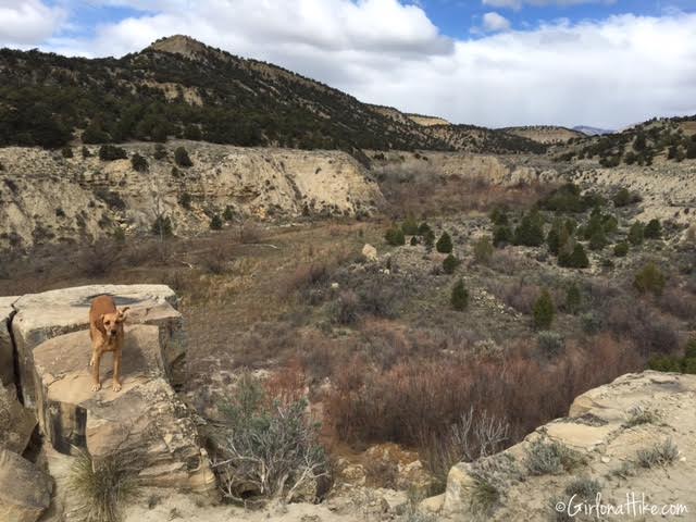 Gordon Creek Waterfalls, Utah, Hiking in Utah with Dogs