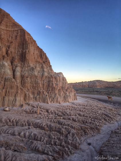 Hiking and Camping at Cathedral Gorge State Park, Canyon Caves