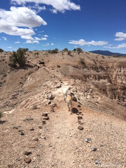 Hiking and Camping at Cathedral Gorge State Park, Eagle Point Overlook