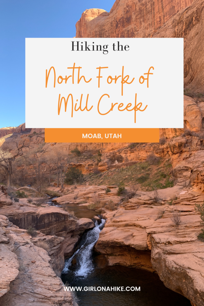 Hiking the North Fork of Mill Creek, Moab