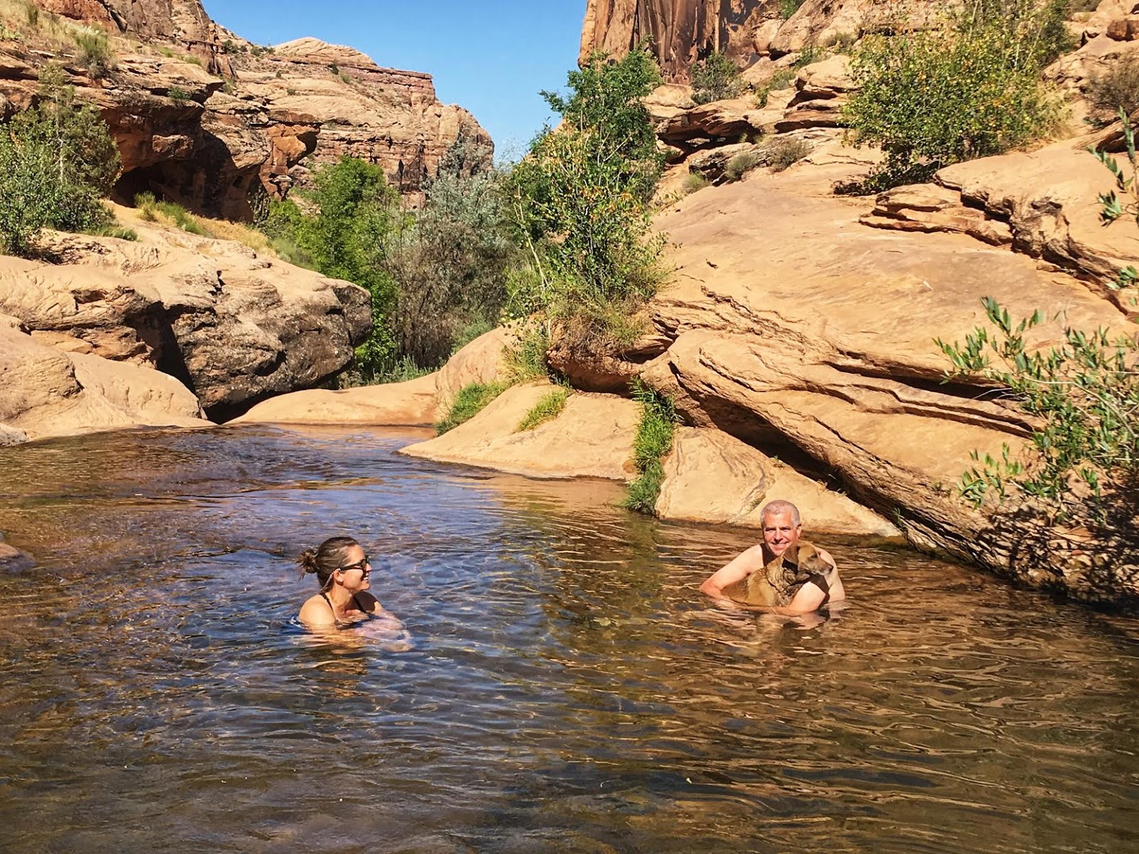 Hiking the North Fork of Mill Creek, Moab, Hiking with Dogs in Moab, Utah