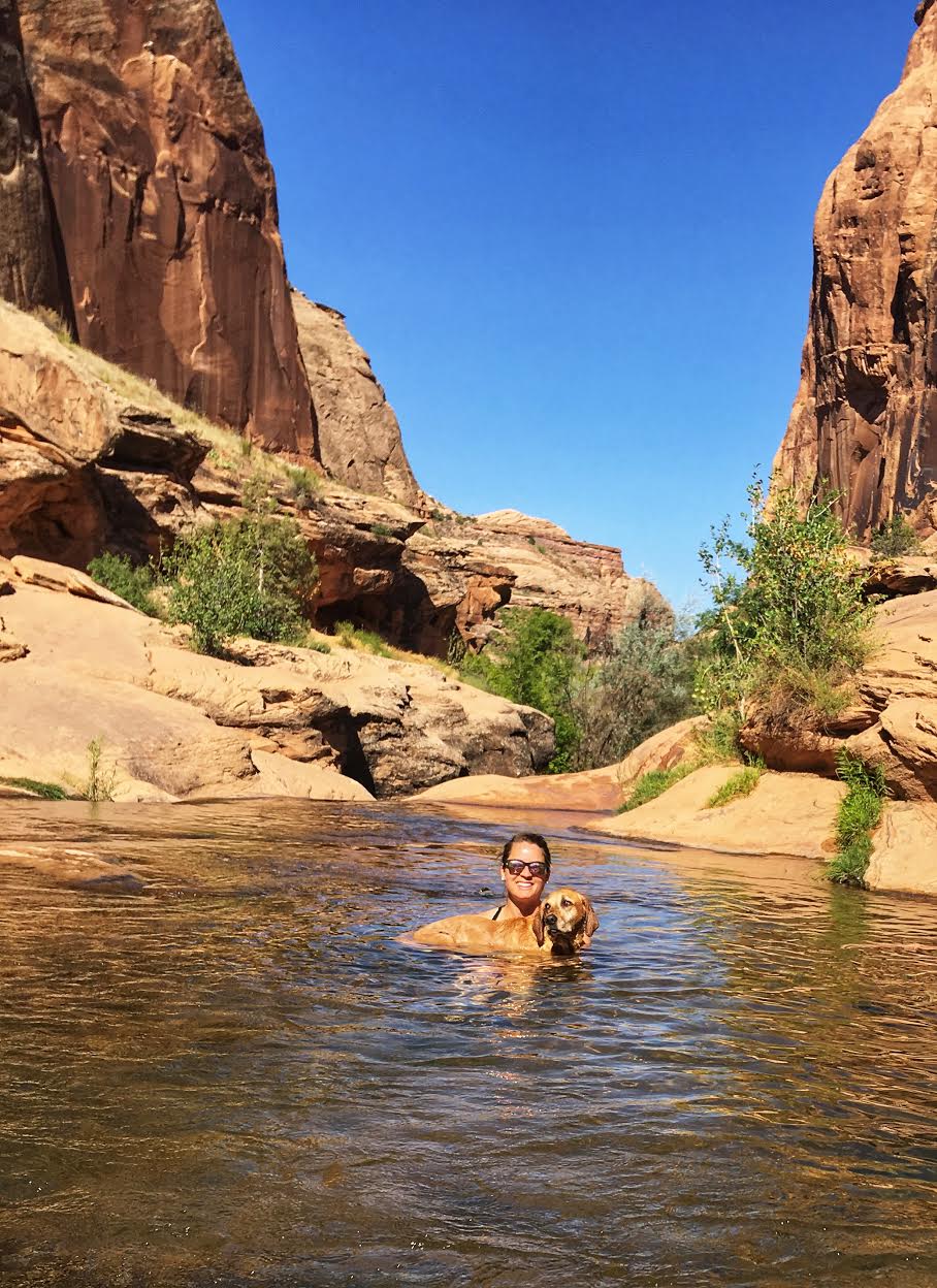Hiking the North Fork of Mill Creek, Moab, Hiking with Dogs in Moab, Utah