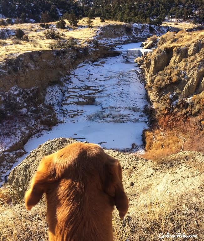 Hiking to Gordon Creek Waterfalls, Utah, Hiking in Utah with Dogs