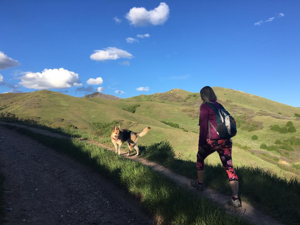 Hiking the Avenues Twin Peaks, Utah, Hiking in Utah with Dogs