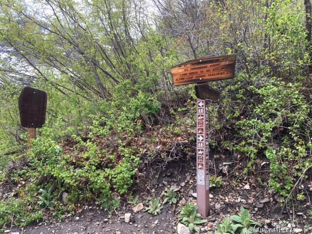 First Falls, Aspen Grove Trail, Hiking in Utah with Dogs