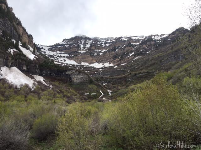 First Falls, Aspen Grove Trail, Hiking in Utah with Dogs