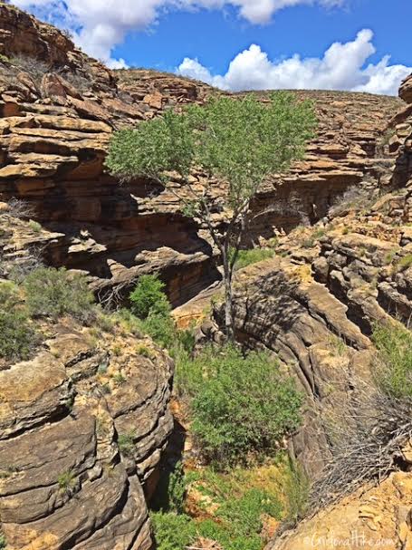 Backpacking the Bright Angel Trail, Grand Canyon National Park